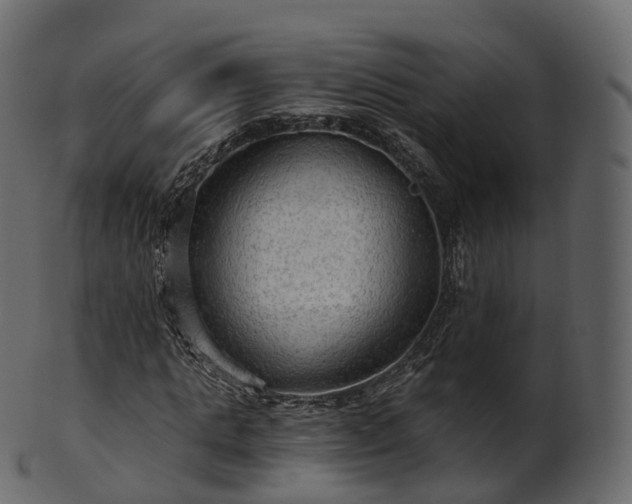 X0000101120821200807031801