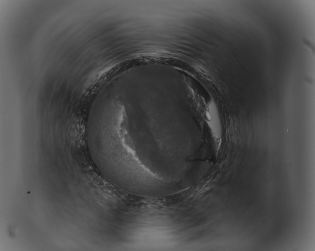 X0000101120822200807031801