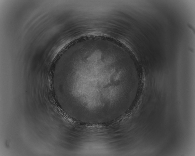 X0000101120823200807031801
