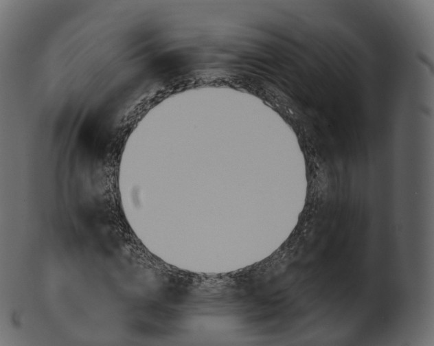 X0000101120824200807031801