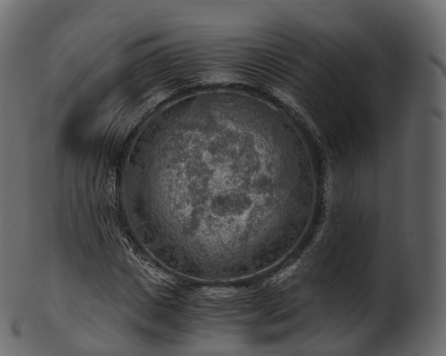 X0000101120825200807031801