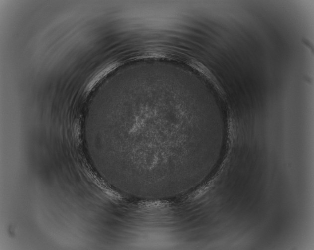 X0000101120826200807031801
