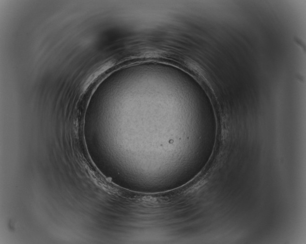 X0000101120827200807031801