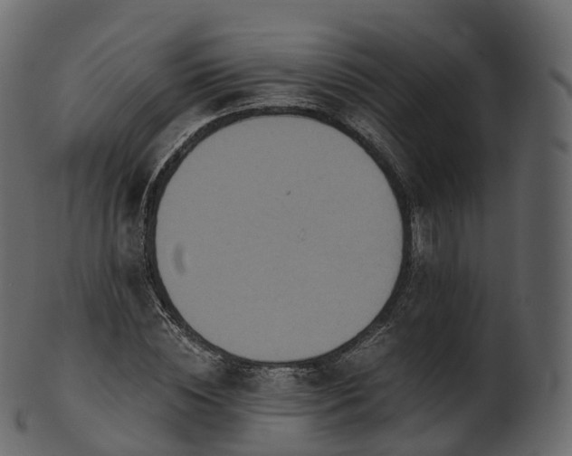 X0000101120828200807031801