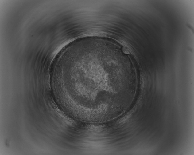X0000101120830200807031801