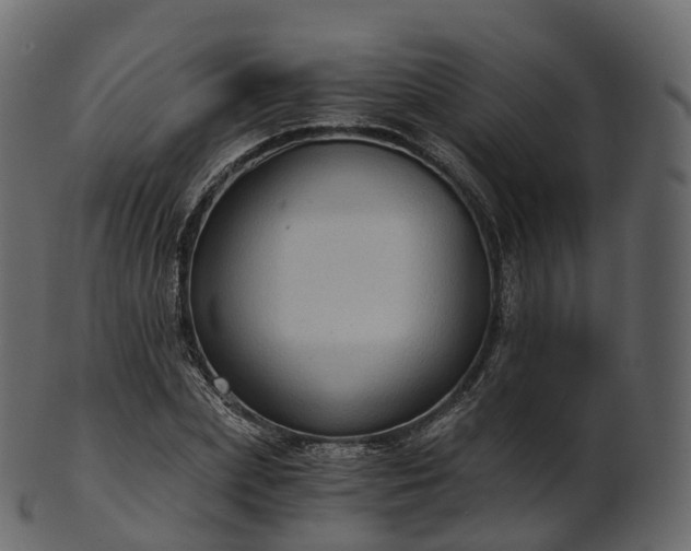 X0000101120831200807031801