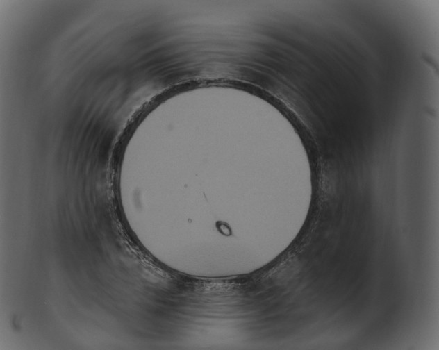 X0000101120832200807031801