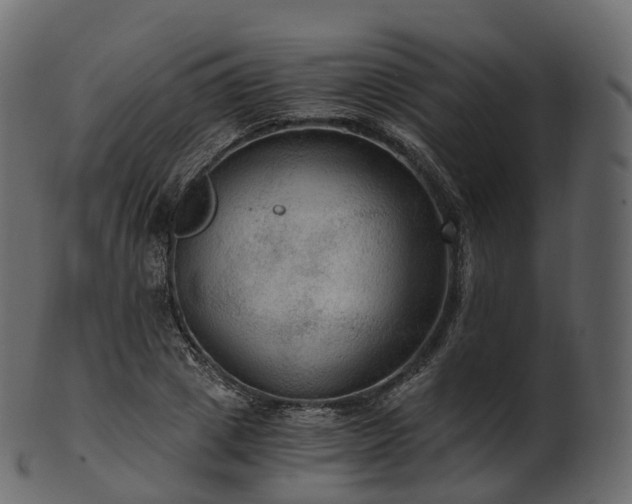 X0000101120833200807031801