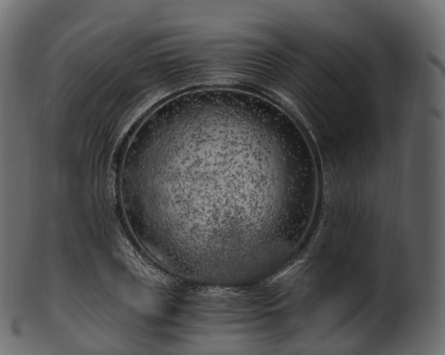 X0000101120835200807031801