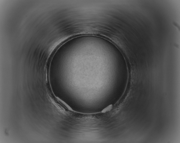 X0000101120838200807031801