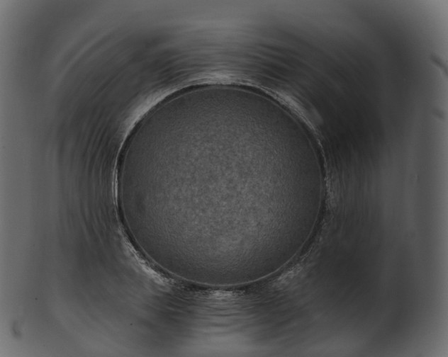 X0000101120839200807031801