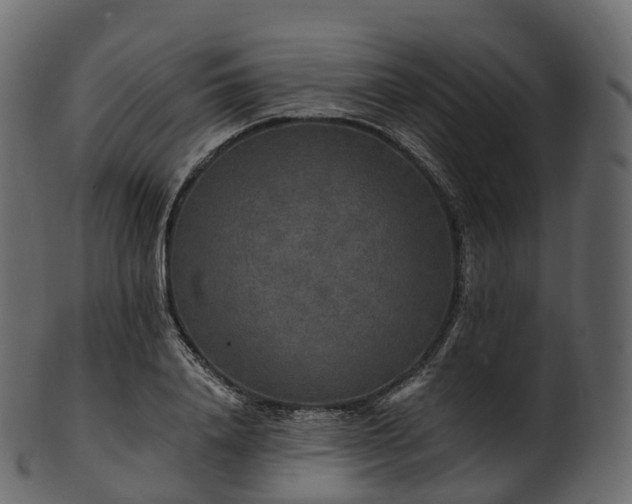 X0000101120840200807031801
