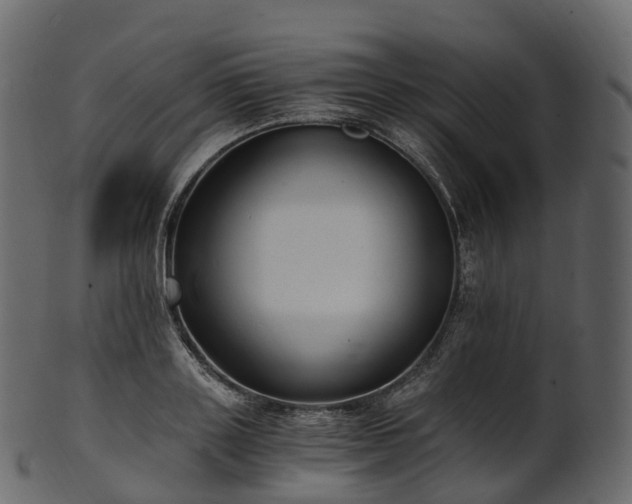 X0000101120843200807031801