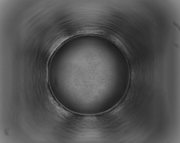 X0000101120844200807031801