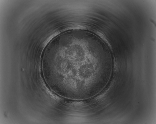 X0000101120845200807031801
