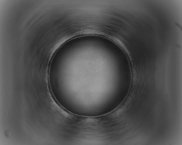 X0000101120847200807031802