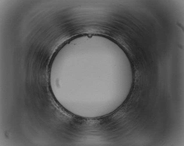 X0000101120848200807031802