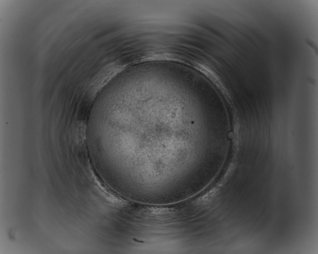 X0000101120849200807031802
