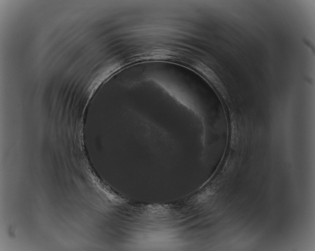 X0000101120850200807031802