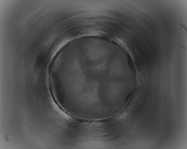 X0000101120851200807031802
