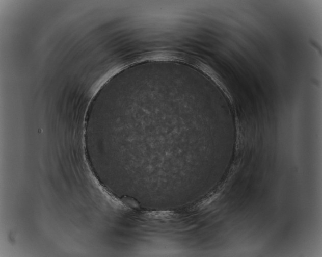X0000101120853200807031802