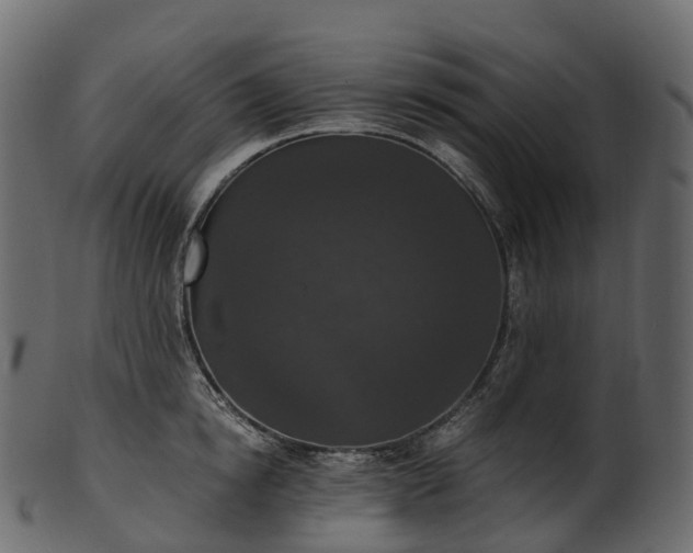 X0000101120854200807031802