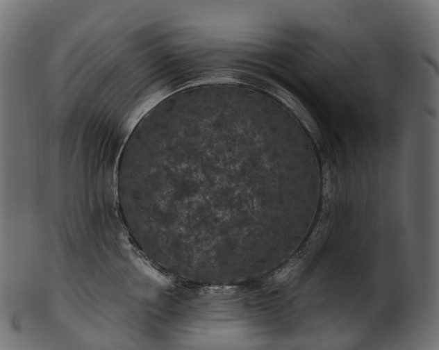 X0000101120858200807031802