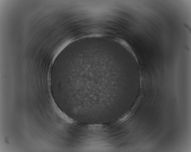 X0000101120859200807031802