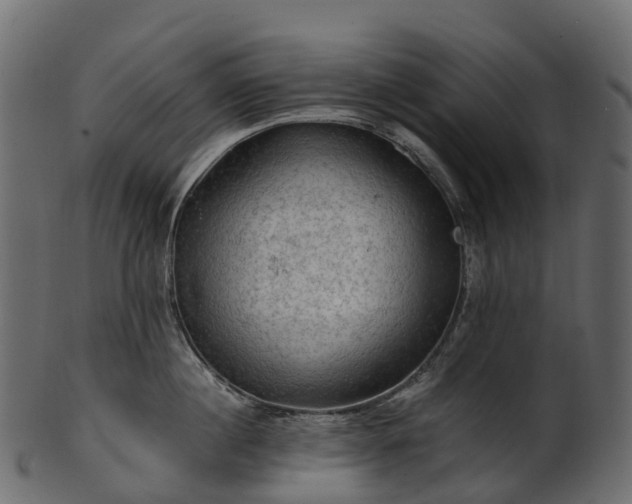 X0000101120860200807031802