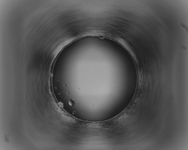 X0000101120861200807031802