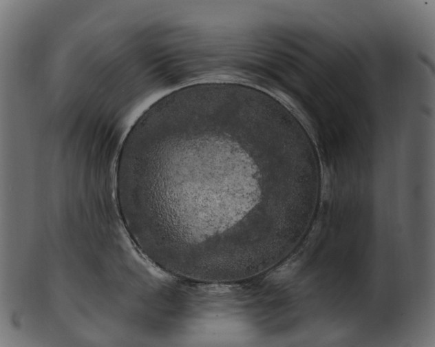X0000101120862200807031802