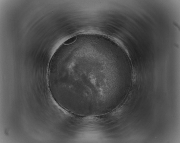 X0000101120863200807031802