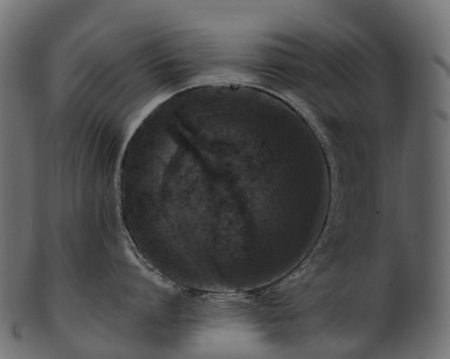 X0000101120864200807031802