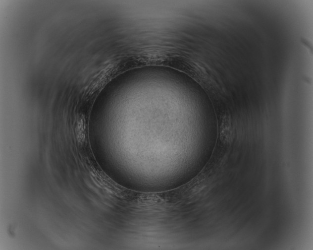 X0000101120866200807031801