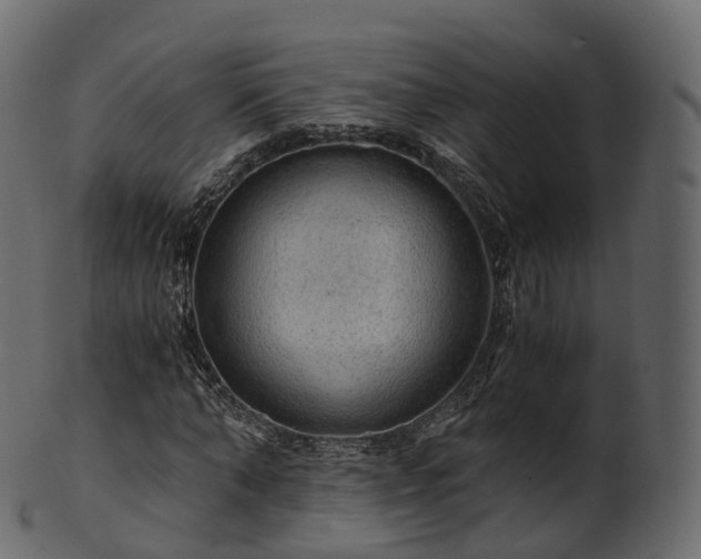 X0000101120870200807031801