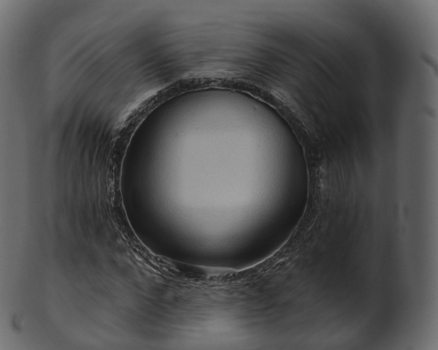 X0000101120872200807031801