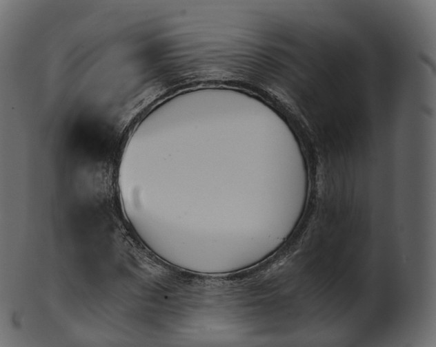 X0000101120873200807031801