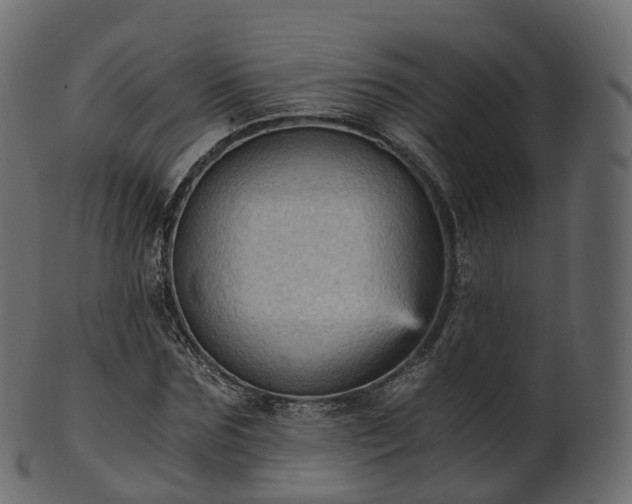 X0000101120875200807031801