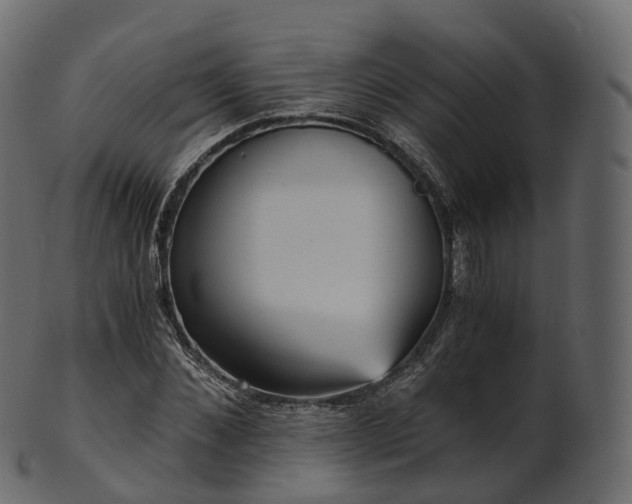 X0000101120876200807031801