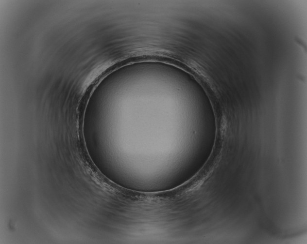 X0000101120877200807031801