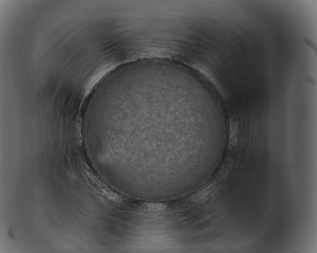 X0000101120878200807031801