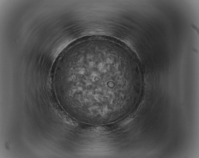 X0000101120879200807031801