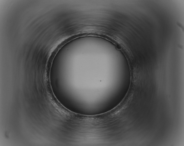 X0000101120880200807031801