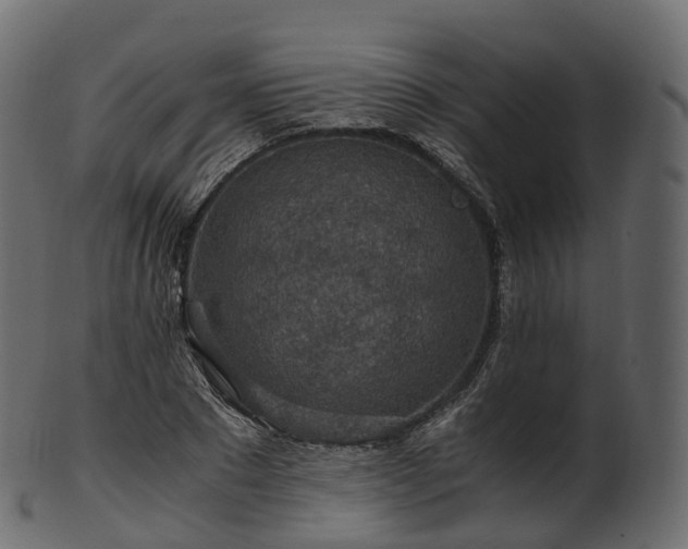 X0000101120881200807031801