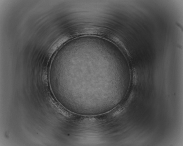 X0000101120882200807031801
