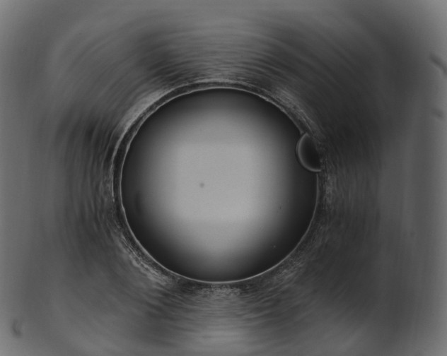 X0000101120884200807031801