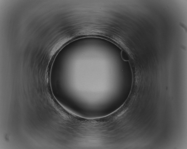 X0000101120885200807031801