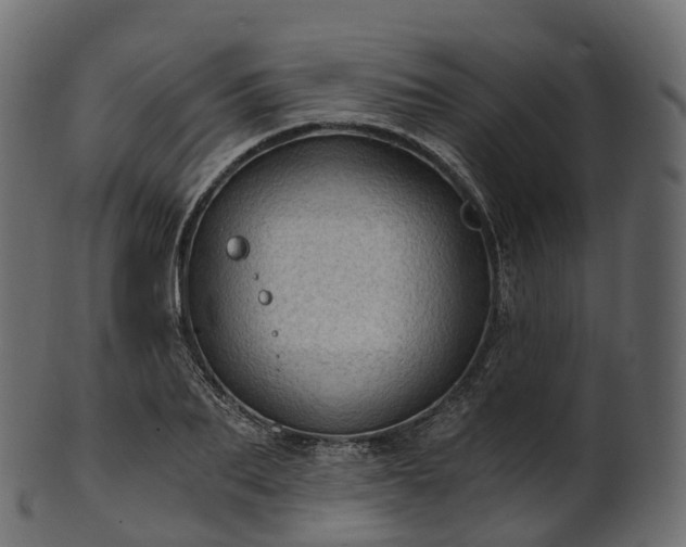X0000101120887200807031801