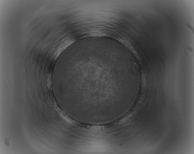 X0000101120889200807031801