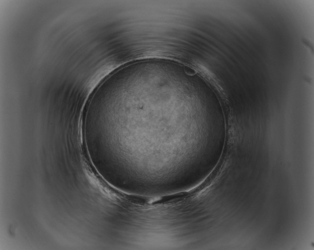 X0000101120892200807031801